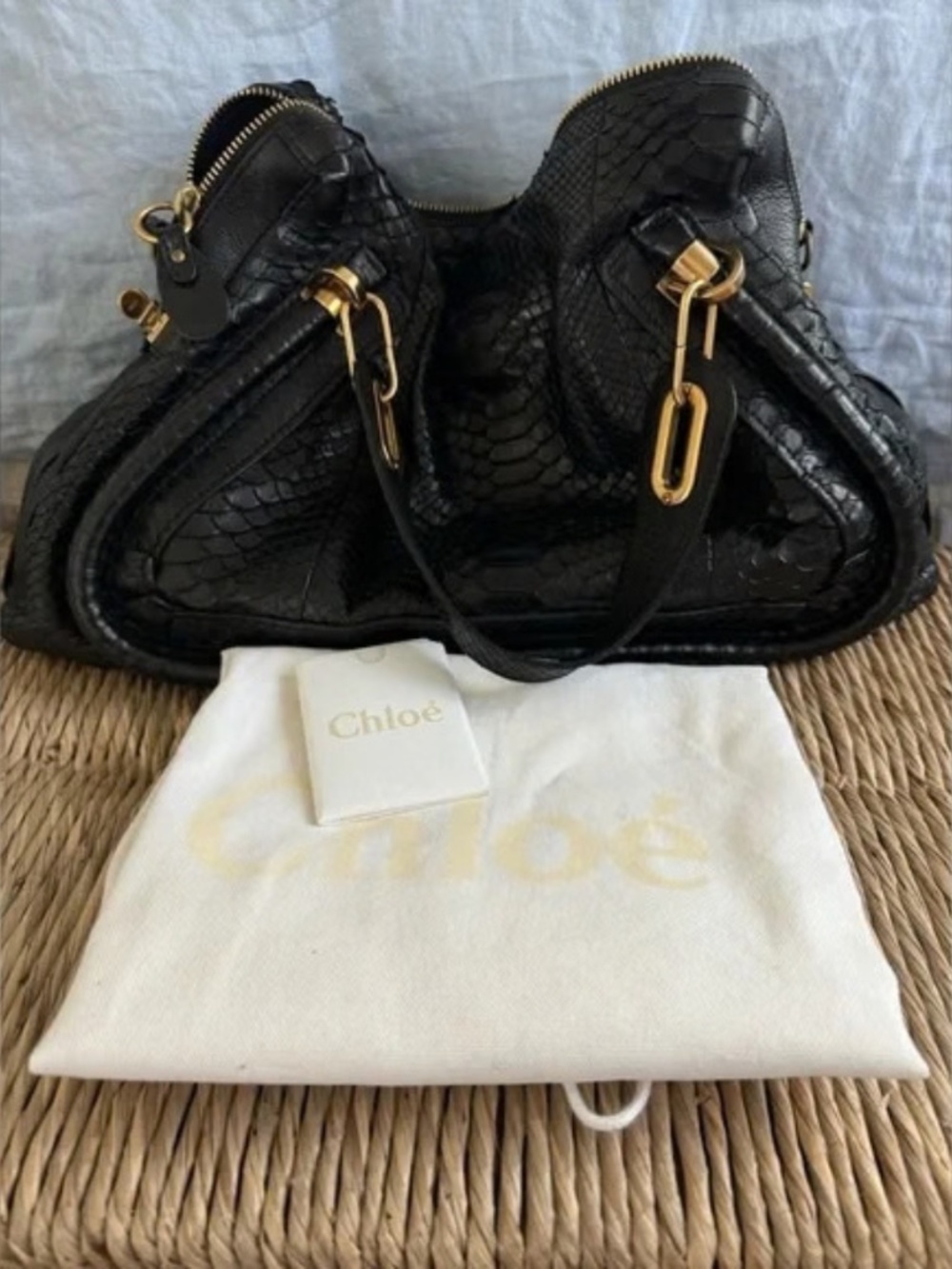 NWOT Chloe Python Paraty Satchel with GHW Dust Bag and Authenticity Card